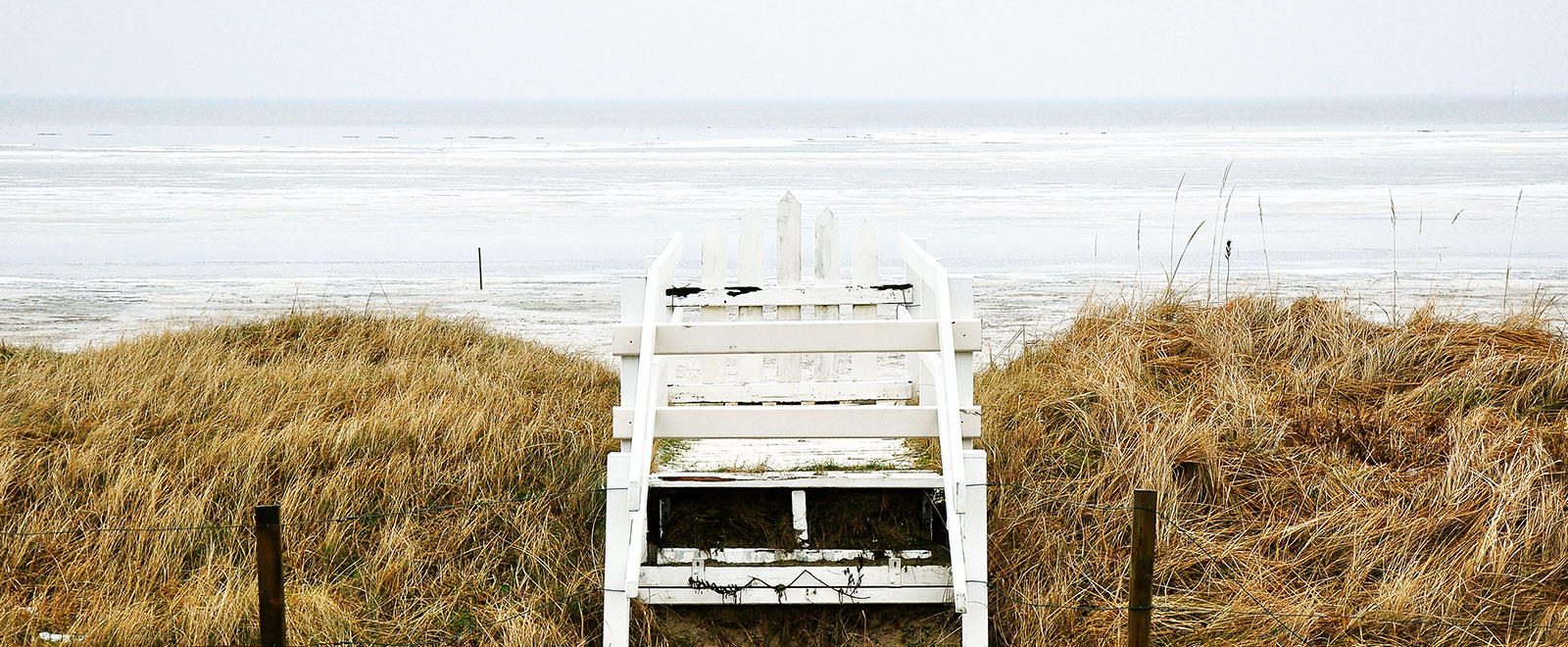 帮您管理资源的网页端ddos