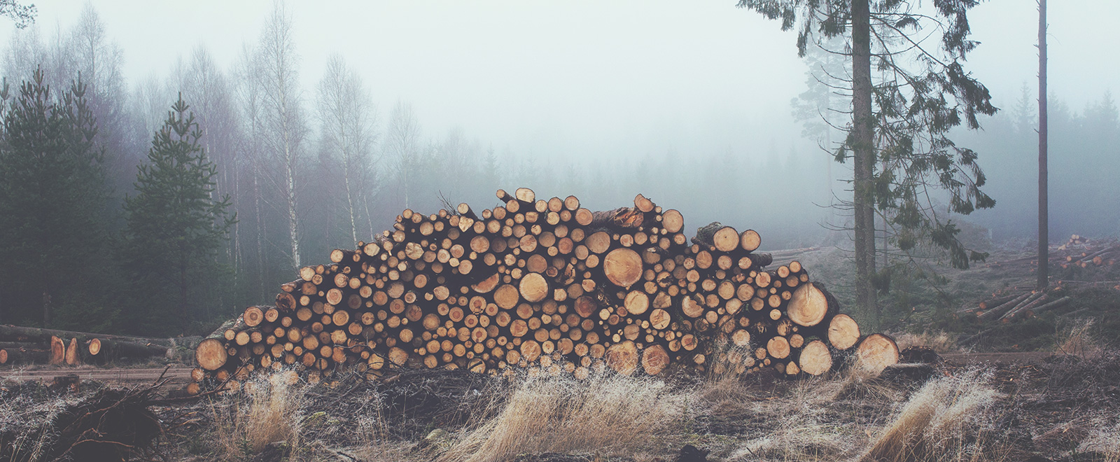 免费ddos在线攻击